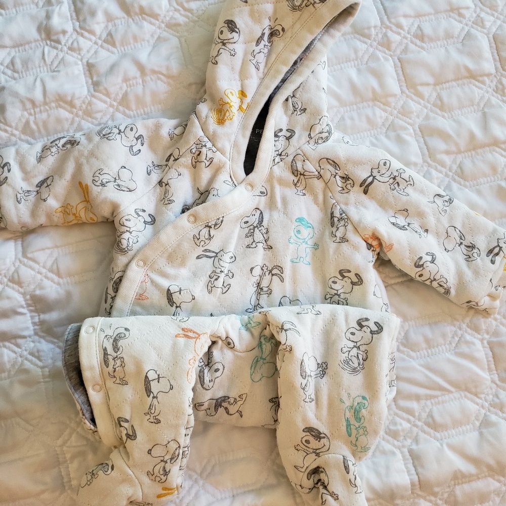 Gap Bunting with hood
